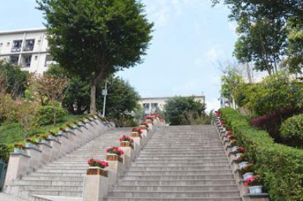 2023泸州排名前八的消防工程技术学校名单