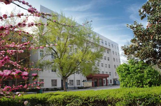 2023洛阳公办广告设计学校有哪些 洛阳公办广告设计学校名单一览表