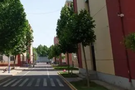 2024廊坊排名前五的消防工程技术学校名单