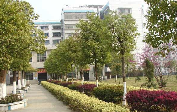 2024保山排名前五的烹饪学校名单