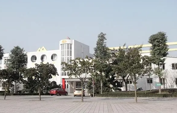 2023成都公办室内设计学校有哪些 成都公办室内设计学校名单一览表