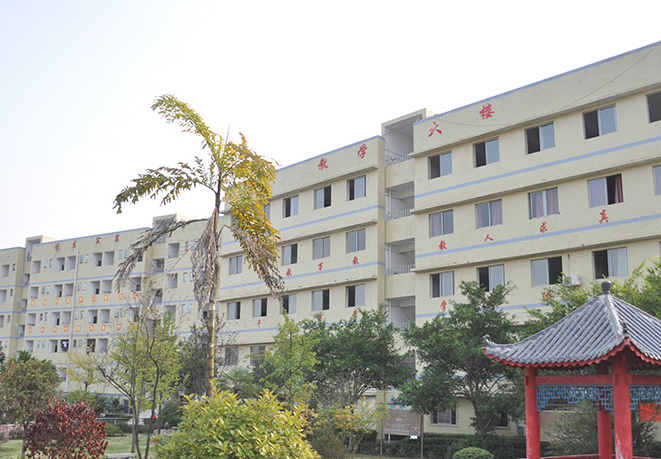 重庆2023年初中毕业上中专学校好不好