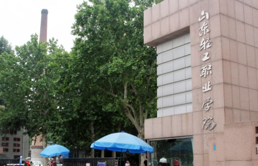 山东轻工职业学院艺术类招生章程2023年