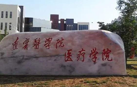锦州医科大学医疗学院录取规则2023年