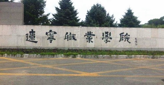 辽宁职业学院招生章程2023年