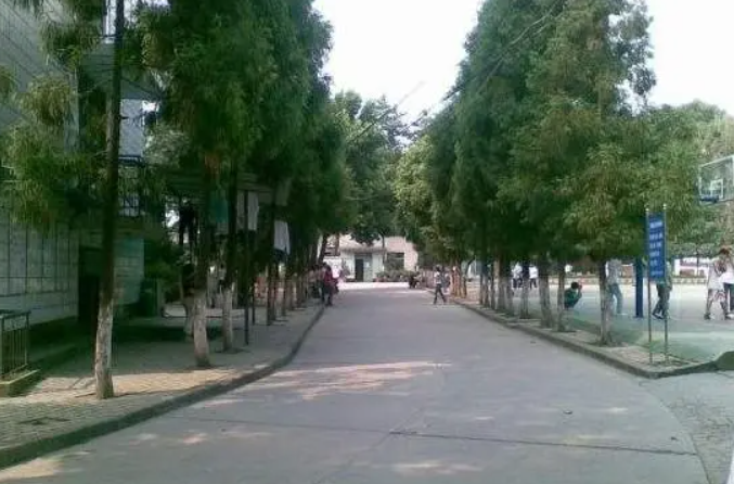 中专学校可以学什么 重庆中专学校专业介绍