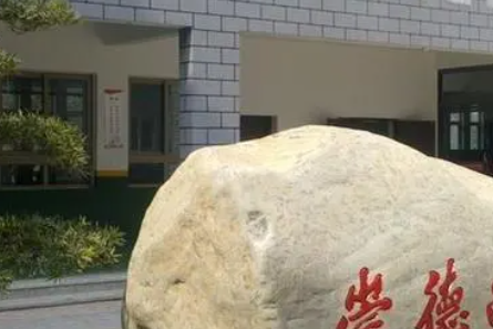 2023年浙江中专生可以做什么工作