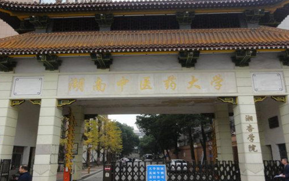 湖南中医药大学湘杏学院录取规则2023年