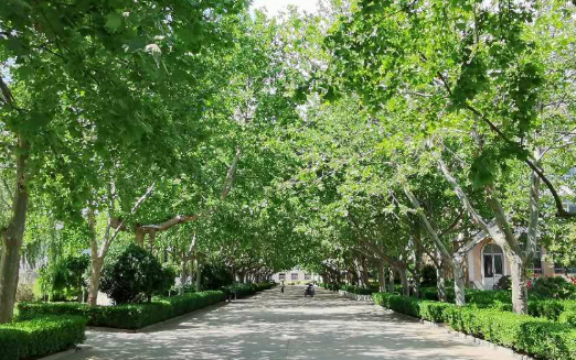 青岛兴华汽车工程学校招生简章2023年