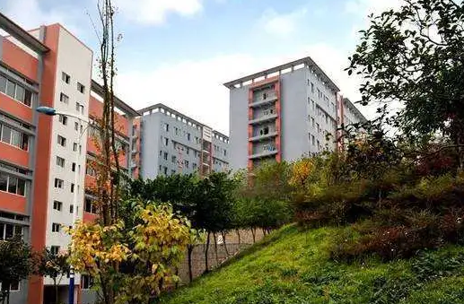 2024德阳排名前五的计算机学校名单