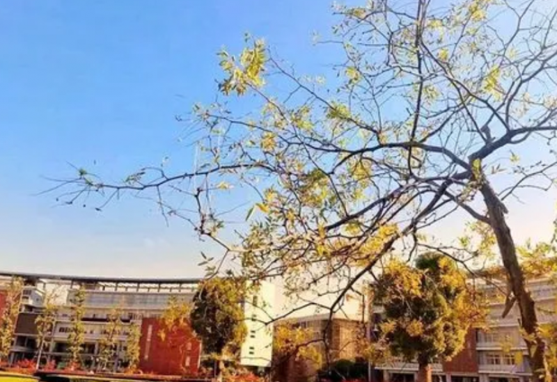 金陵中学地址，乘车路线