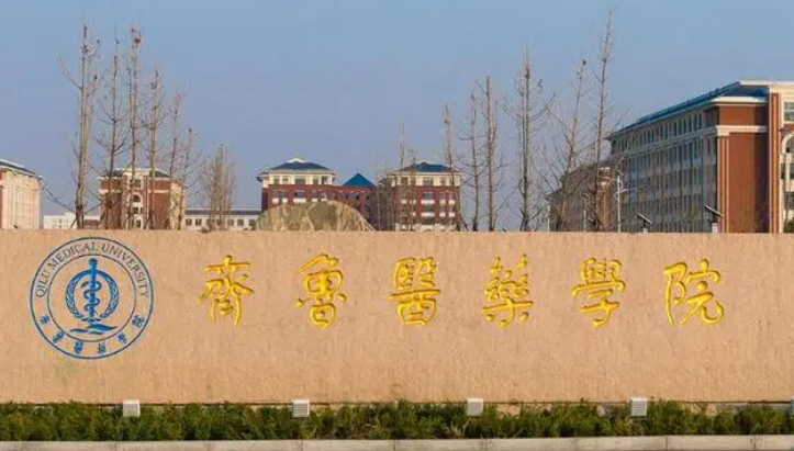 齐鲁医药学院招生章程2023年