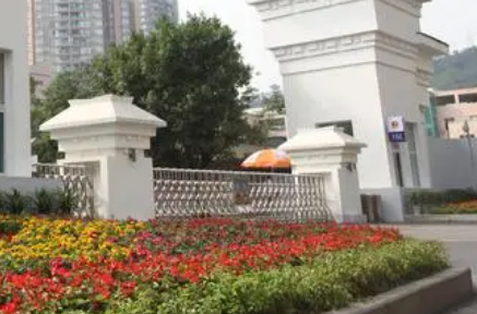 重庆2023年初中没读完怎么读中专