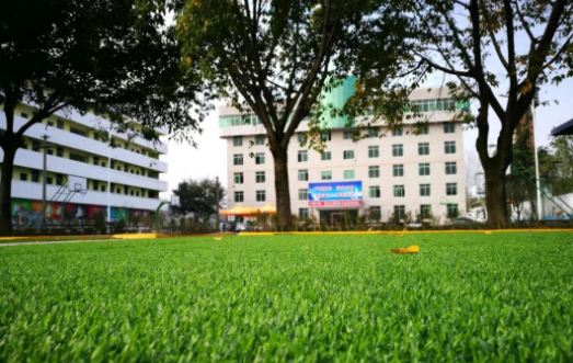 四川2023年上中专学校可不可以考大学