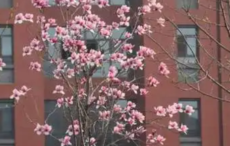 潍坊豪迈科技职业中等专业学校地址，乘车路线
