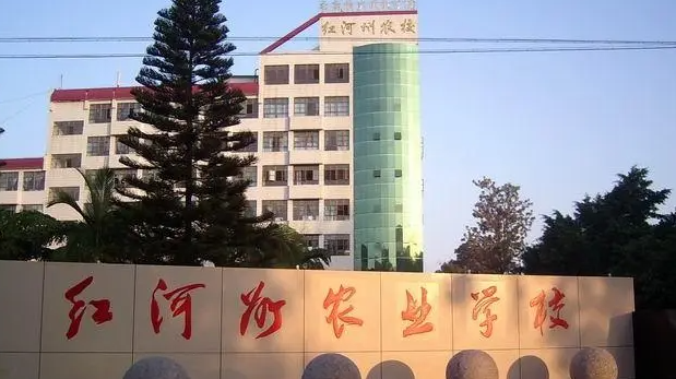 2024红河排名前五的电子商务学校名单