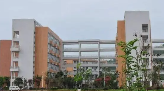 2024乐山排名前五的电子商务学校名单