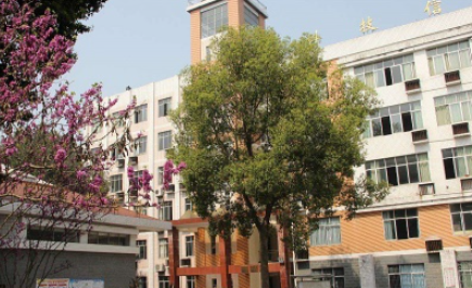 重庆2023年初中毕业能上中专学校