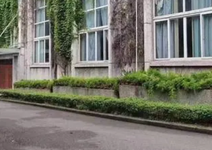 重庆2023年高中毕业读什么中专学校好