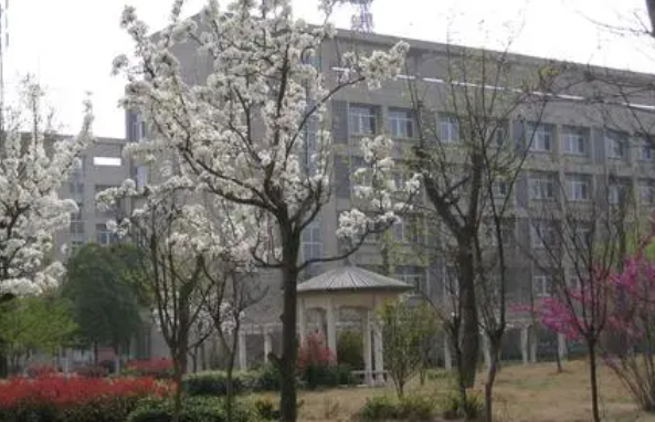 2024宿迁排名前五的电子商务学校名单