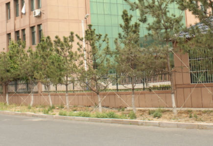 威海立派职业中等专业学校怎么样、好不好