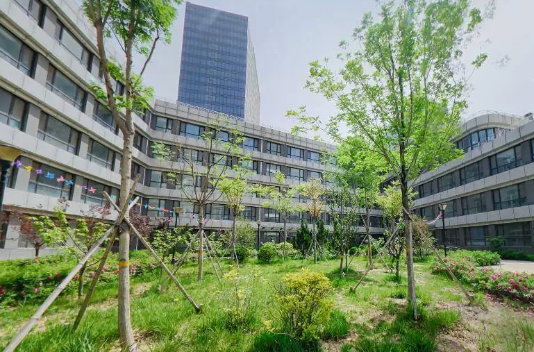 2023年潍坊滨海国际学校入学考试