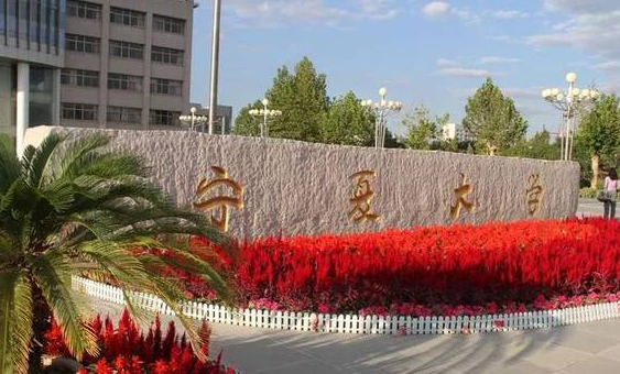 2023年宁夏高考分数线