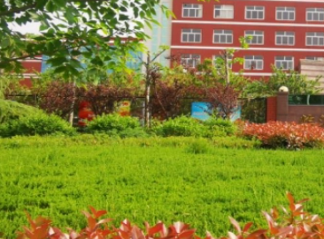 临沂市聋哑学校网站网址主页