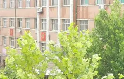 2023武城县职业中等专业学校招生计划 招生人数是多少(附要求、条件、对象)