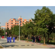 青云实验中学
