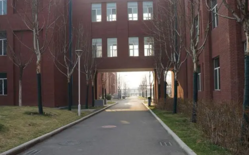 2023年潍坊滨海国际学校初中部入学条件