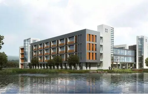 2023年潍坊滨海国际学校初中部课程体系