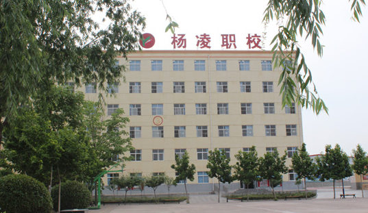 2024咸阳排名前五的新能源汽车学校名单