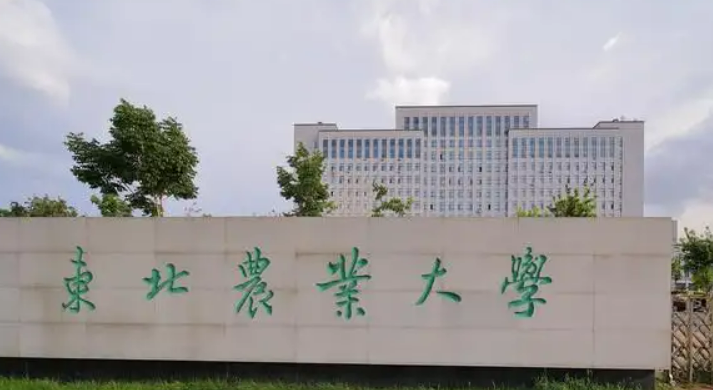 东北农业大学招生章程2023年