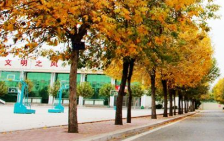 菏泽市定陶区职业中等专业学校地址，乘车路线