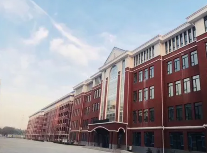 2023年潍坊高新国际学校小学部课程体系