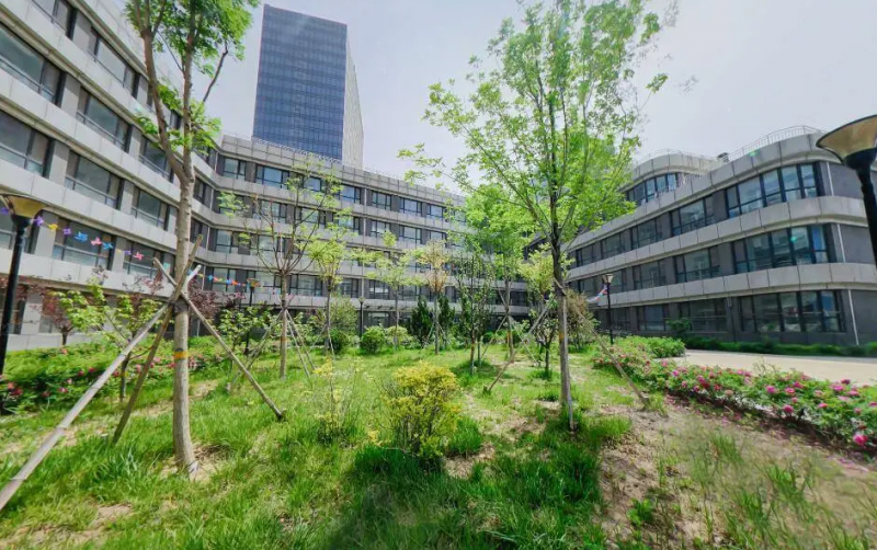 2023年潍坊滨海国际学校小学部录取分数线