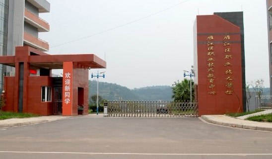 2024资阳公办消防工程技术学校有哪些 资阳公办消防工程技术学校名单一览表