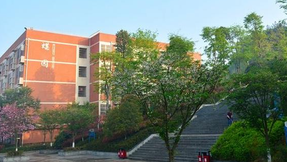 2024泸州民办形象设计学校有哪些 泸州民办形象设计学校名单一览表