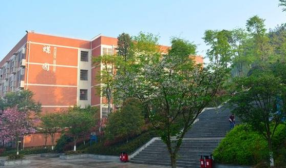2024泸州室内设计学校有哪些 泸州室内设计学校名单一览表