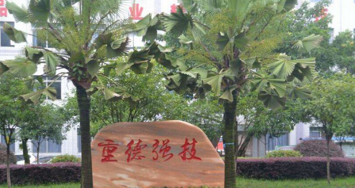 2024周口室内设计学校有哪些 周口室内设计学校名单一览表