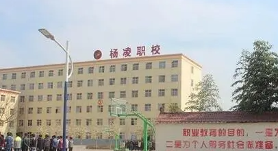 2024咸阳排名前五的药剂学校名单