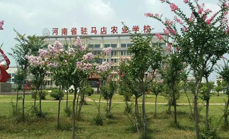 2024驻马店公办药剂学校有哪些 驻马店公办药剂学校名单一览表