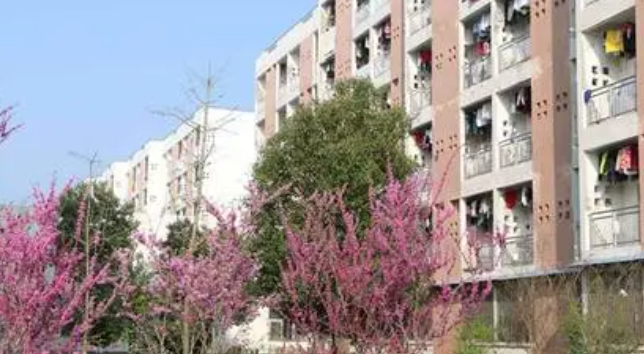 2024六安公办药剂学校有哪些 六安公办药剂学校名单一览表