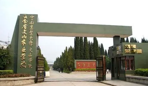 2024文山药剂学校有哪些 文山药剂学校名单一览表