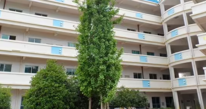 2024贵州药剂学校有哪些 贵州药剂学校名单一览表