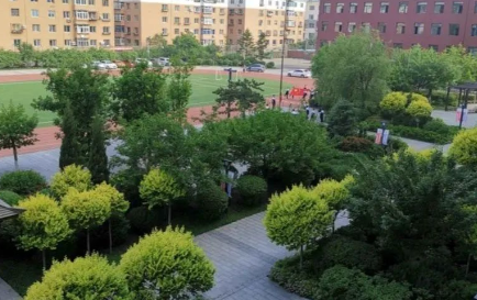 2023沈阳市外事服务学校招生计划 招生人数是多少(附要求、条件、对象)
