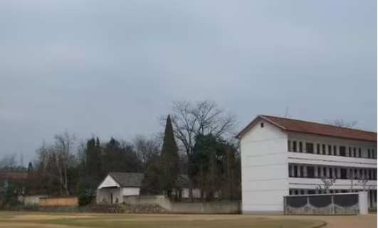 汾口中学地址，乘车路线