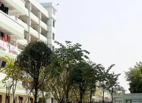 广东2023年初中生上中专