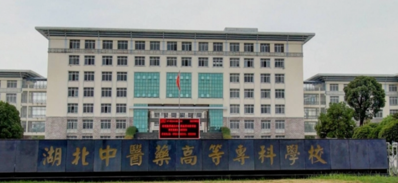 新疆健康管理专业大学排名及分数线一览表